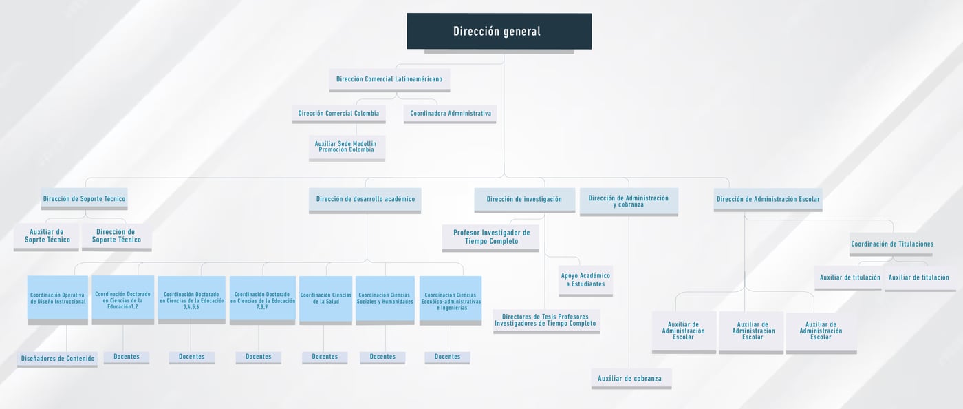 nuevo organigrama sin nombres